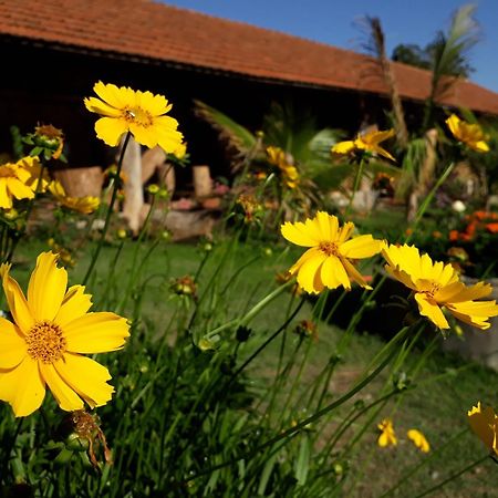 Parque Paraiso Das Flores Оламбра Экстерьер фото