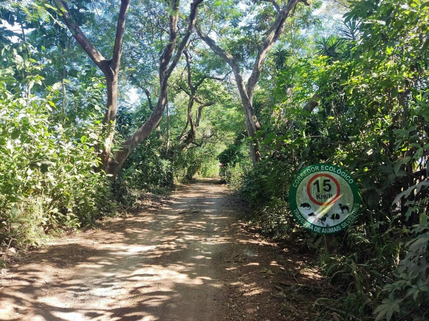 Parque Paraiso Das Flores Оламбра Экстерьер фото